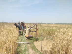 On April 1, 2024, farmers in Mukhiya Tole, Saptari, implemented tube wells and deep boring techniques as solutions to combat the changing rainfall patterns and drought conditions