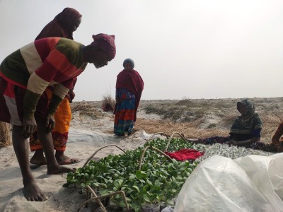 Empowering Riverbed Farmers in Saptari District through the Saksham Saptari Project