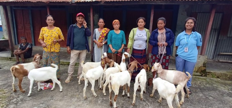 Boosting Livestock and Sustainability: Support for Livestock Farmers in Dhading