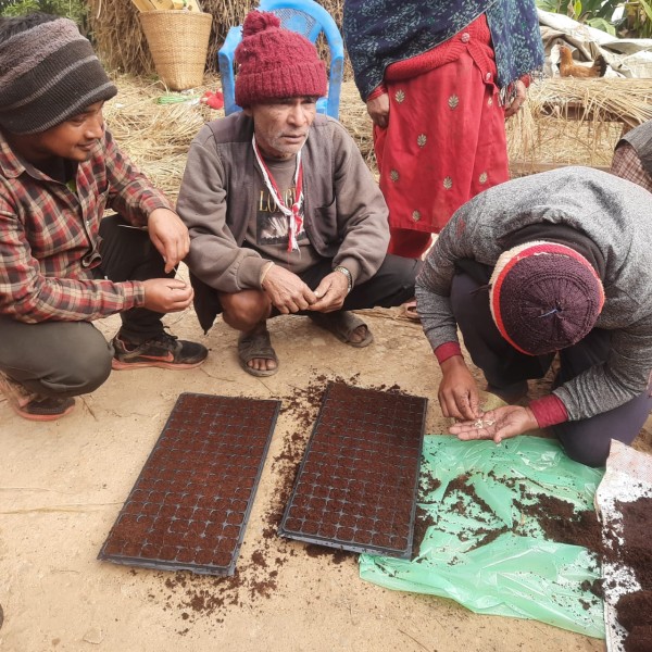 Observation of the production plot for collective farming (peas) and a comprehensive training session on the use of cocopeat and seed trays for seed sowing.