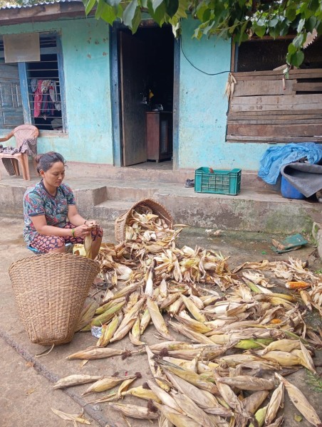 Transformative Leadership: Manisha Shrestha’s Journey