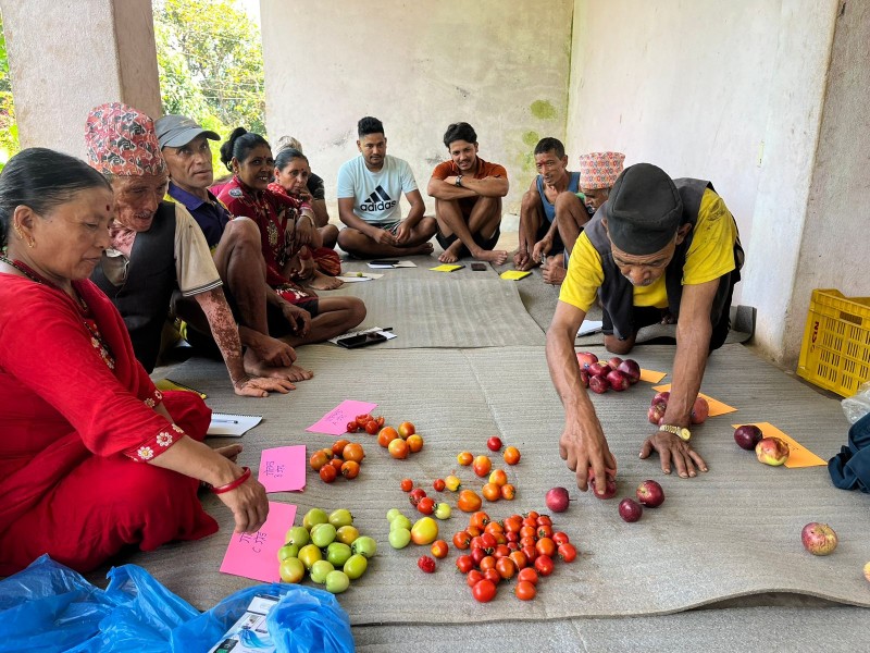 Cultivating Success Farmers in Dhading Gain New Skills in Grading, Packaging and Marketing