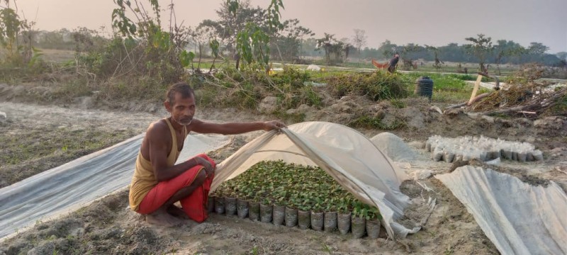 Riverbed Farming (Off-Season Vegetable Cultivation)