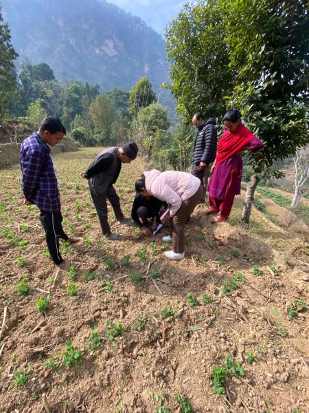 Successful Organic Agriculture Training in Nilkantha Municipality